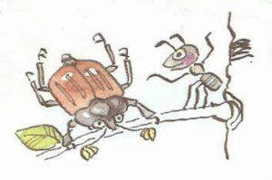 жук и муравей рисунок